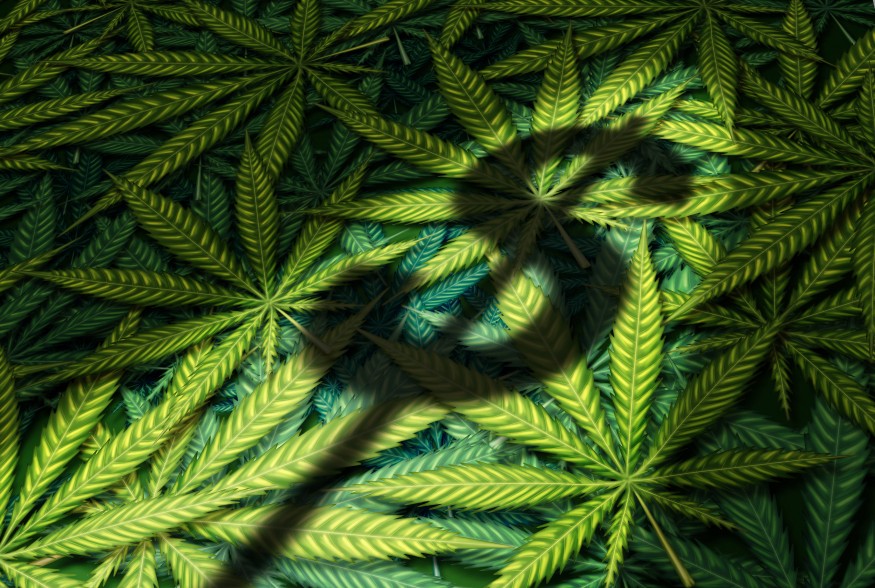 Data Shows Top Five Cannabis Sales Days of 2021