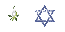WEED Forms Strategic Partnership with Remergify to Design, Develop, Program, Deploy & Coordinate the Launch of WEEDCoin & BUDZCoin in the AI/Crypto/Blockchain Universe Green Stock News