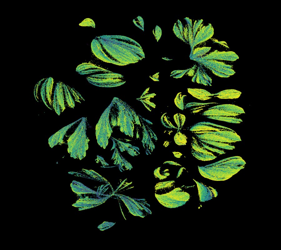 Green Stock News