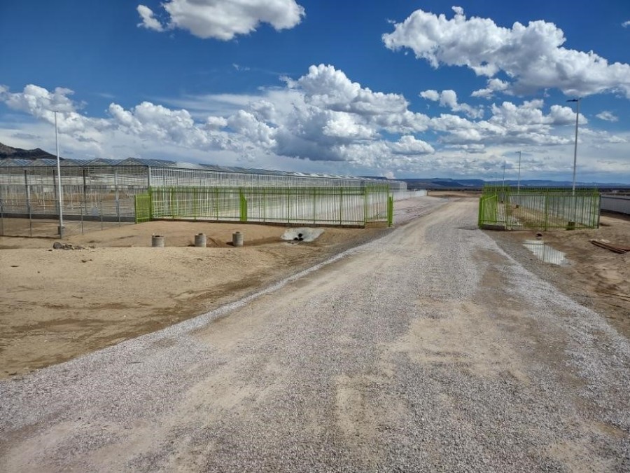 Entrance to Bright Green’s Agricultural Complex 