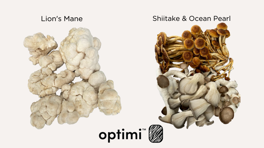 Optimi Health Functional Mushrooms