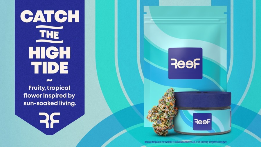 Reef