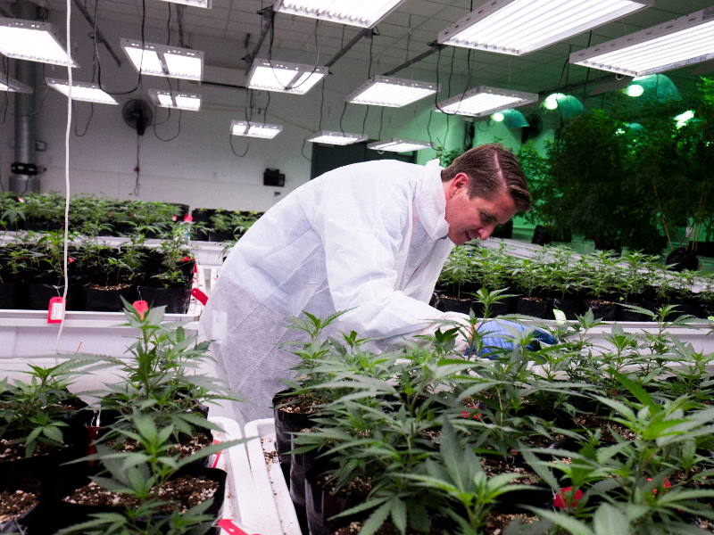 Green Stock News